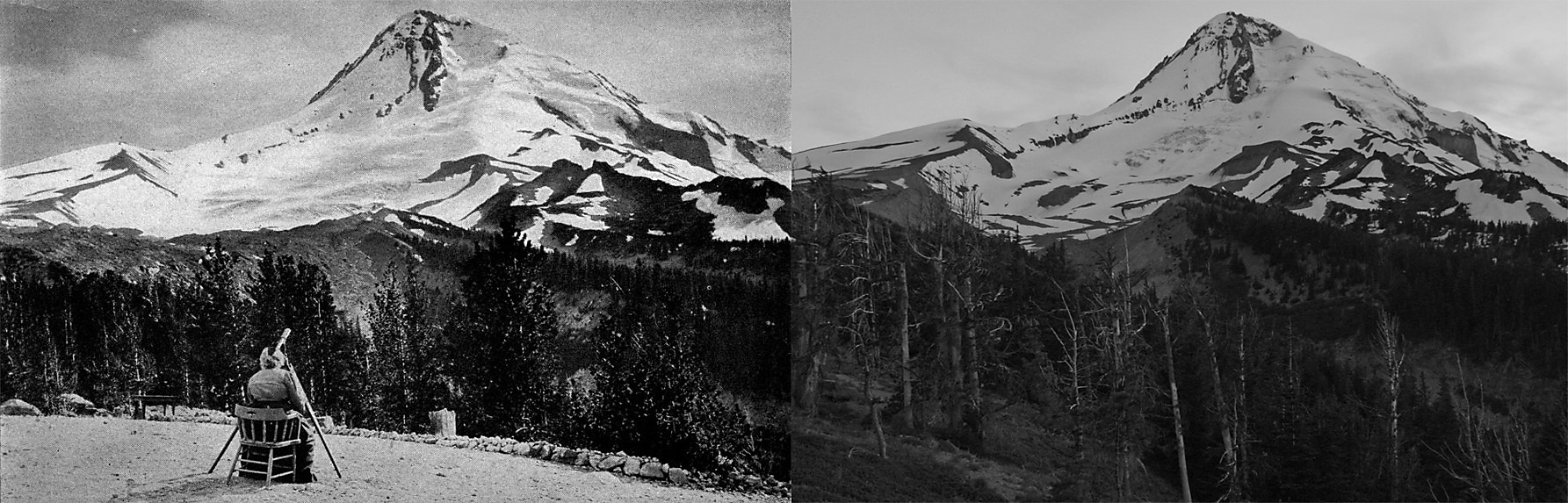 Eliot Glacier contrast from Cloud Cap