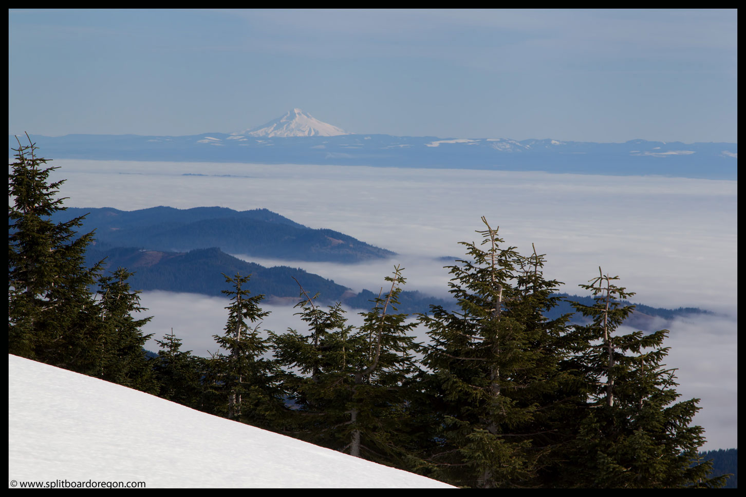 Mt Hood from Mary's Peak