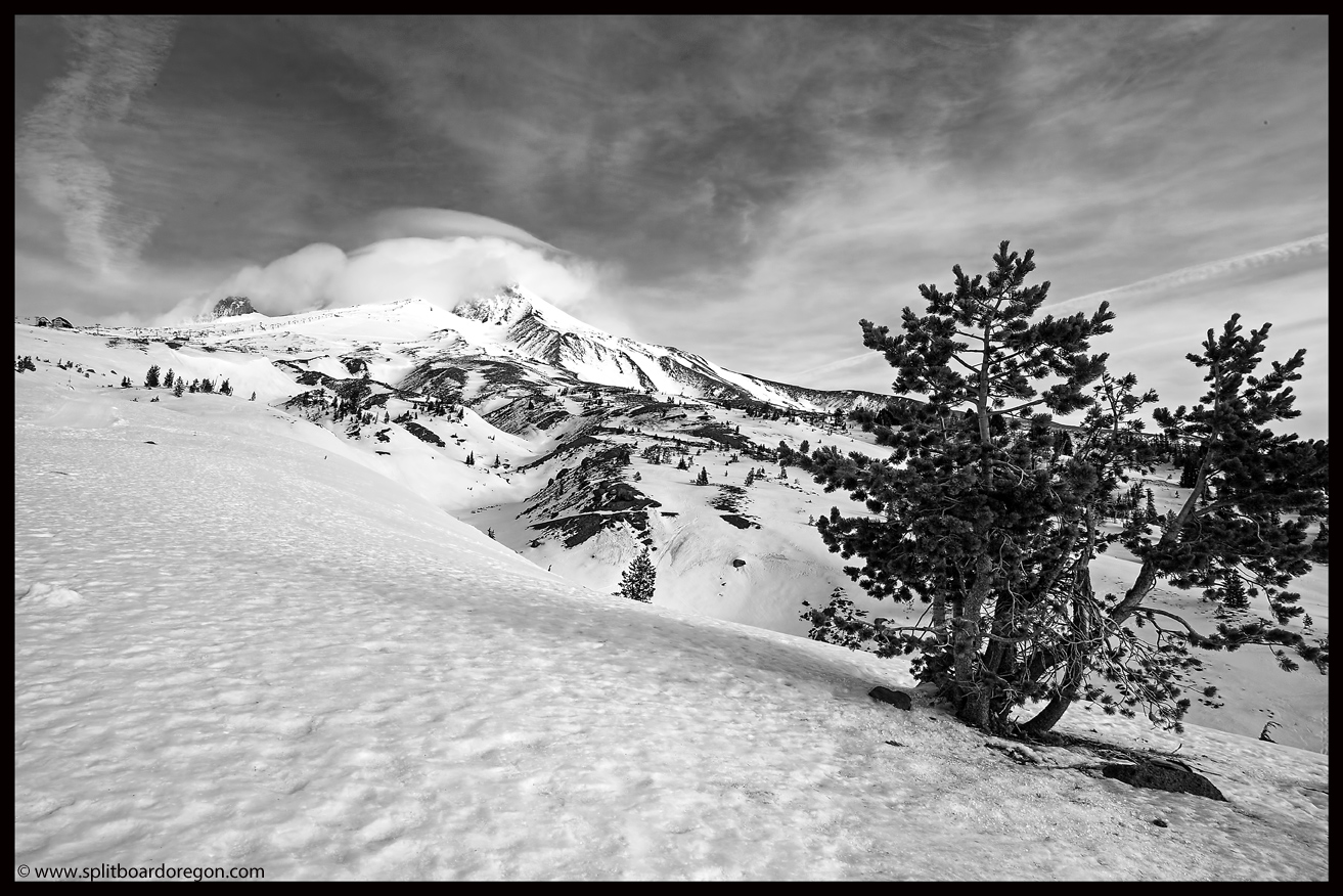 Mt Hood from above the Climber's lot