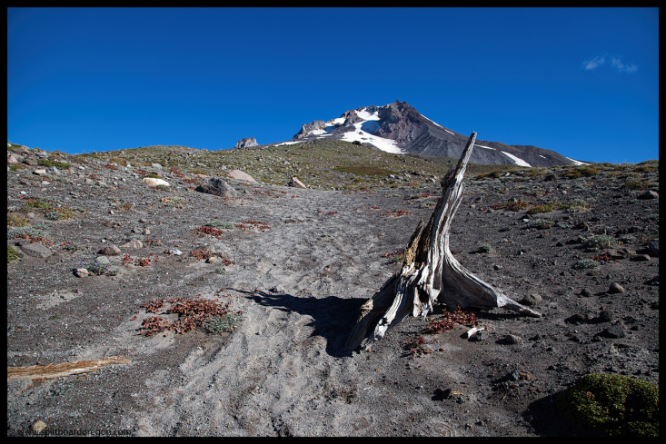 Mt Hood on the approach