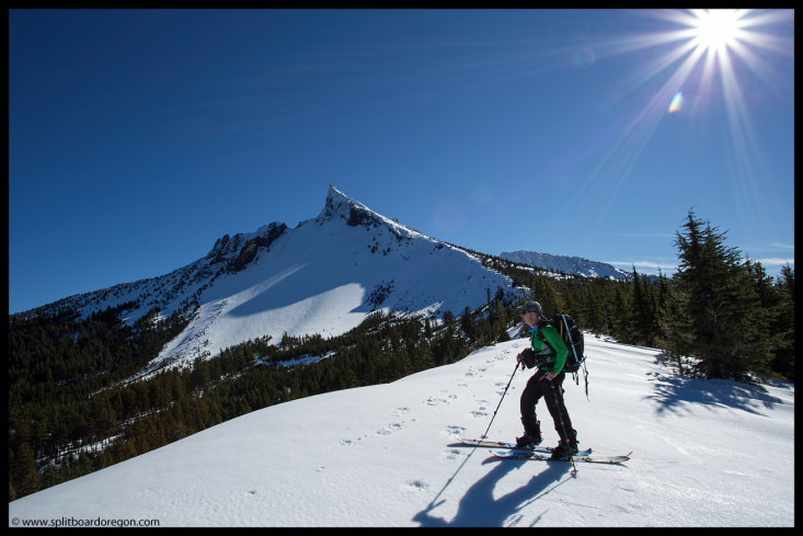 Thielsen's northwest bowl