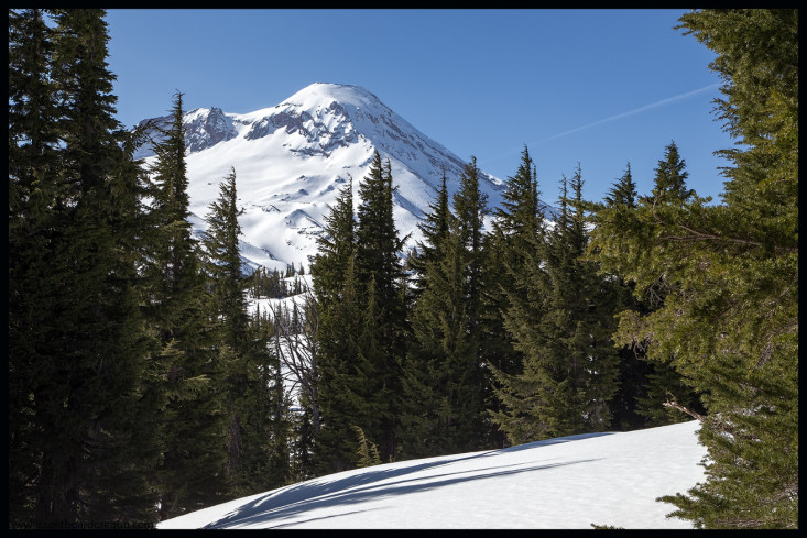 First views of South