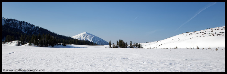 Looking back at Bachelor