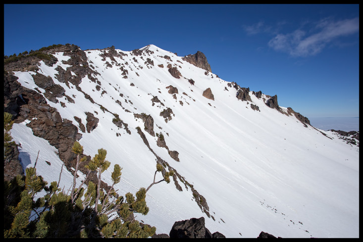 McLoughin's northeast bowl