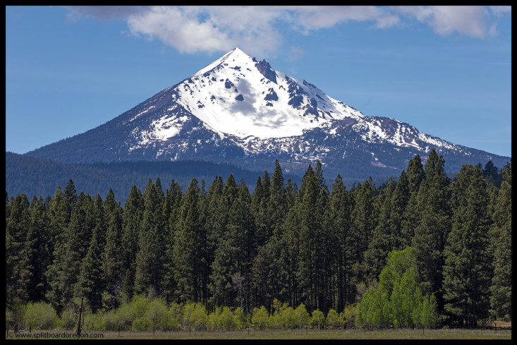 McLoughlin's northeast bowl