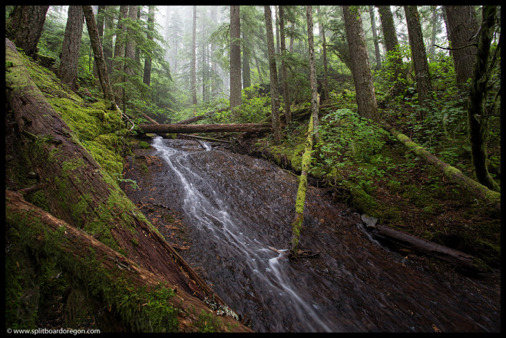 Tributary stream to Salt Creek