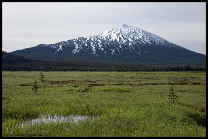 Bachelor from Sparks Lake